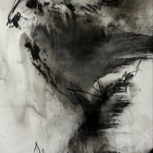 The-lighting-bird-In-the-middle-of-Now-Where