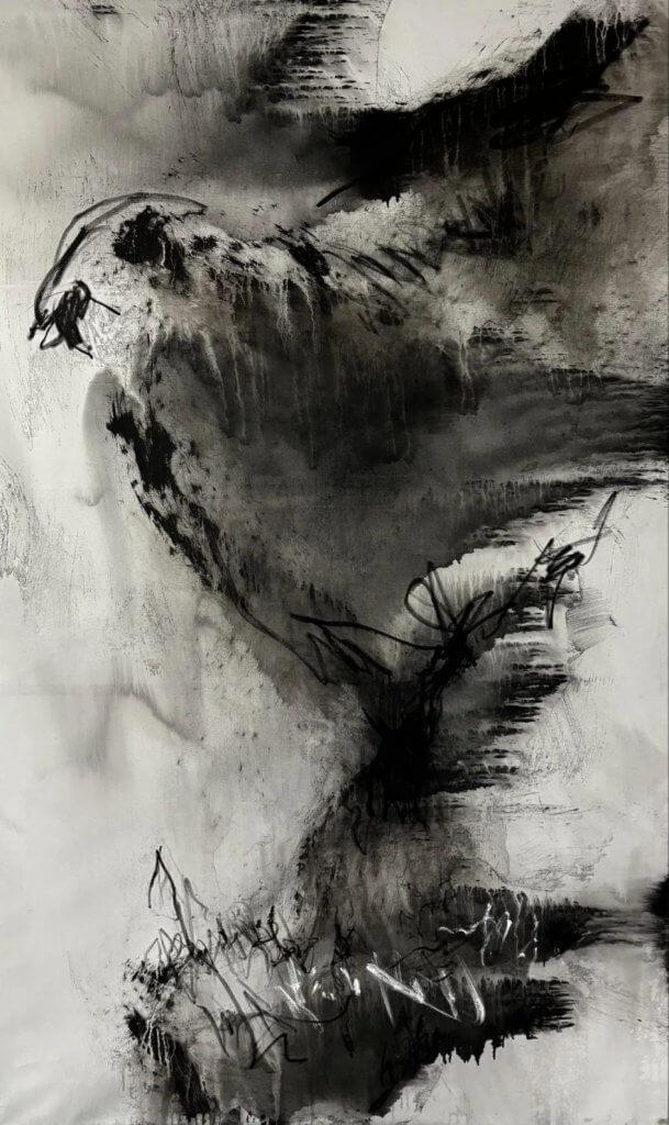 The-lighting-bird-In-the-middle-of-Now-Where