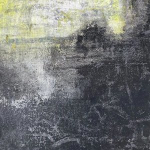 Venice-In-the-middle-of-Now-Where